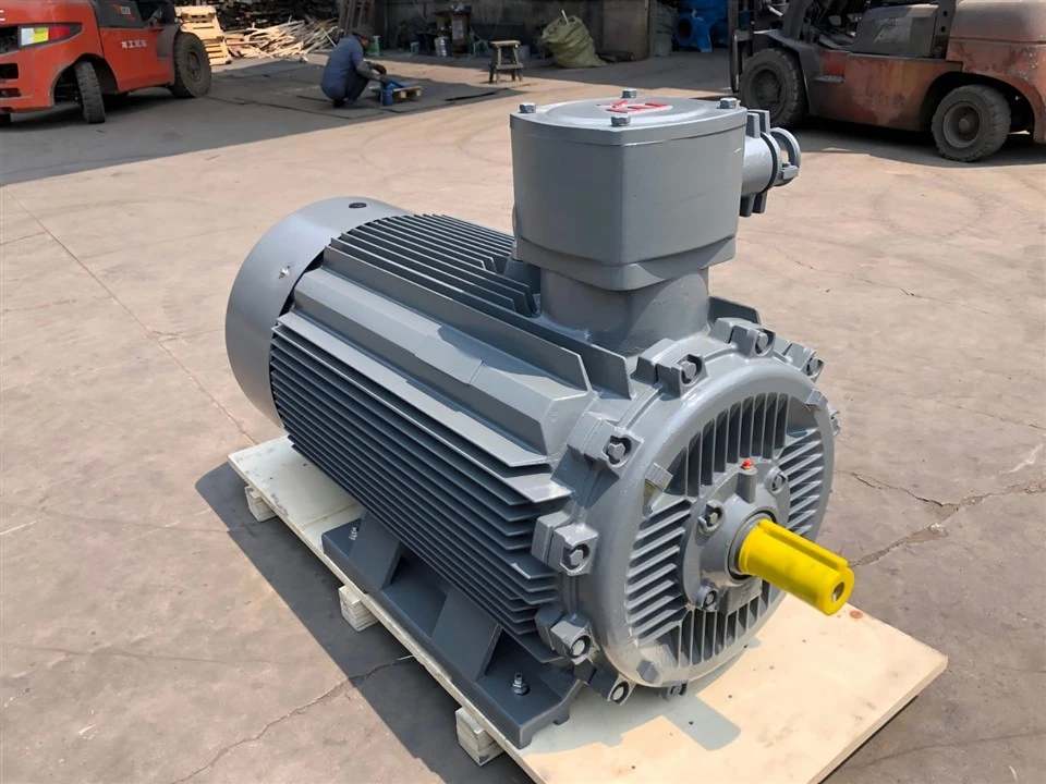 Explosion Proof AC Induction Electric Motor