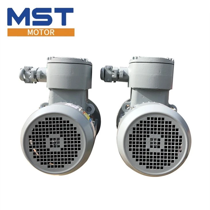 flameproof motor (4)